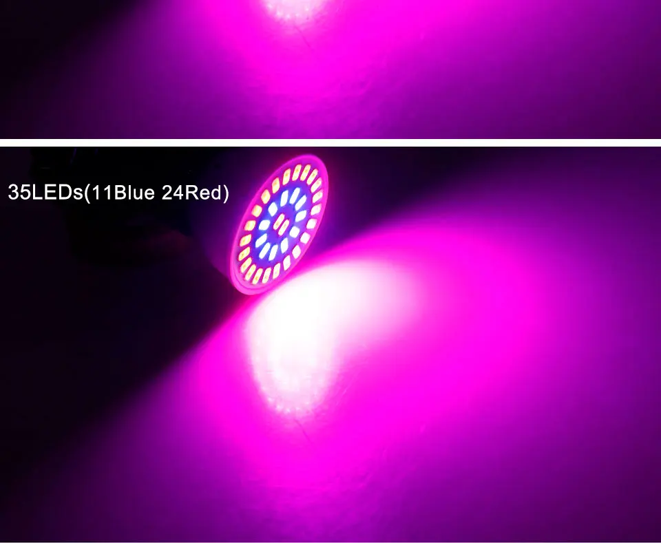 4pcs E27 LED Grow Light Full Spectrum Led Plant Lamp 220V Red Blue Phyto Lamp For Plants Indoor Greenhouse Hydroponics Grow Box (14)