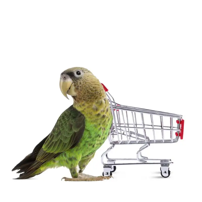 Funny Parrot toy bird Supermarket Shopping Intelligence Cart Basket R SODIAL
