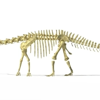 3D rendering of a Diplodocus dinosaur skeleton Poster Print (47 x 16)