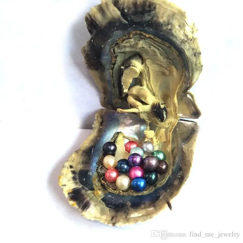 

15 Colored Round Pearls in Saltwater Oysters,Akoya Mini Monster Oysters with 15 Pearls inside Random Mix Colors Xmas Gift FP470