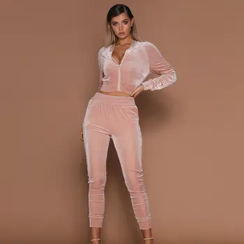 

2018 Autumn Women 2pcs Short Zipper Hoodies Sweatshirt Elasic Waist Pants Sets Velvet Tracksuit Casual Suit