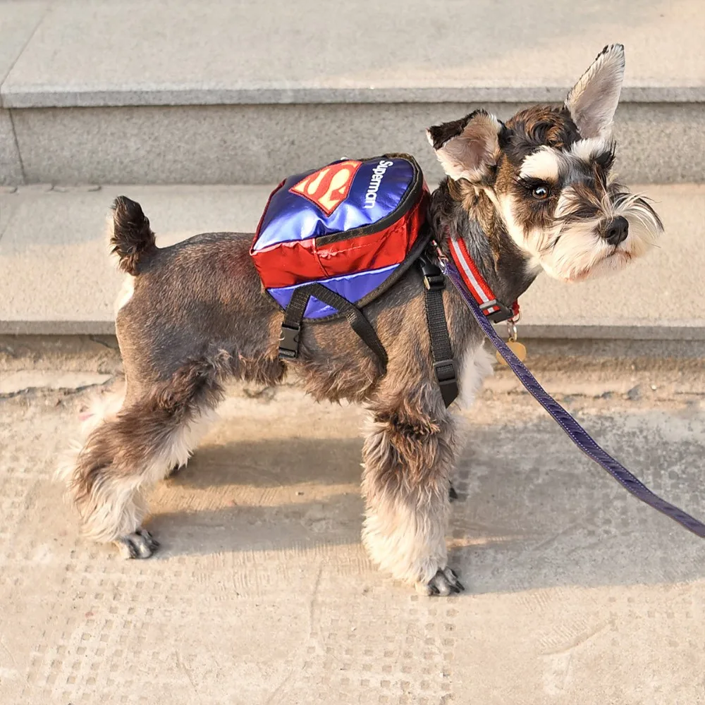 Регулируемый поводок для домашних животных школьная сумка для переноски животных и сумки красивая переноска кошачий поводок шлейки для щенков рюкзак для домашних животных на открытом воздухе Дорожная сумка героя