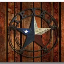 Теплые TOUR Западный Техас Звезда вход коврик крытый передней двери/Ванная комната коврик