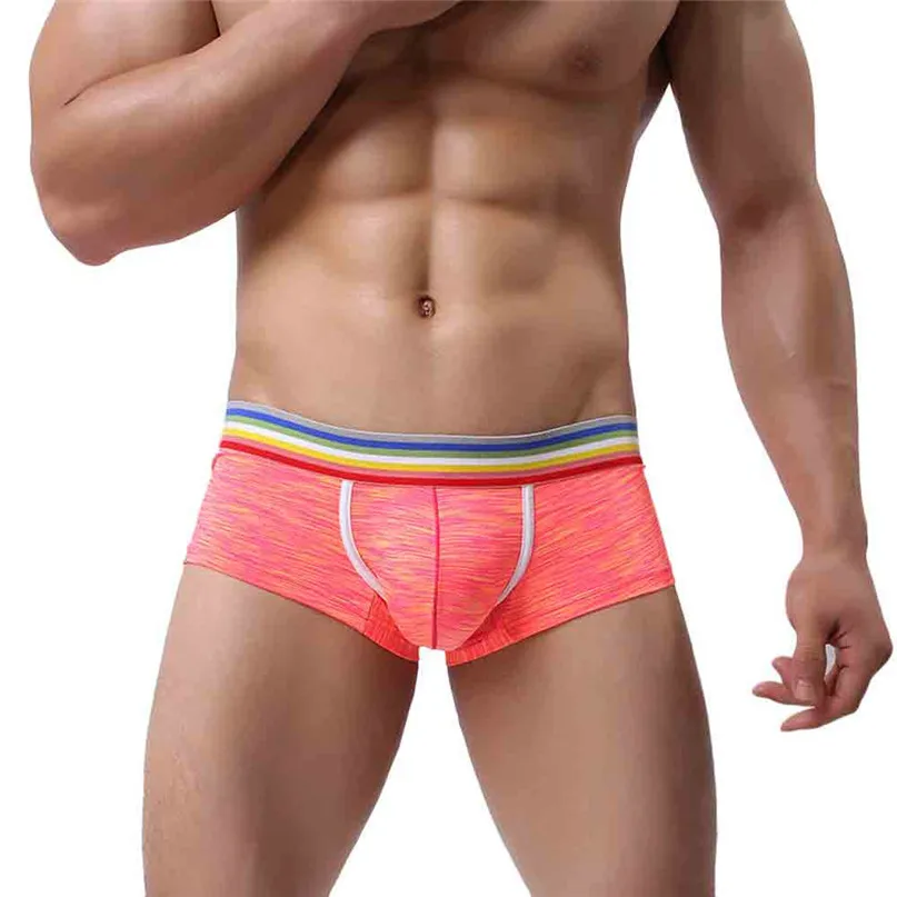 Men Underwear Swim Briefs Mens Underpants Cueca Masculina U Pouch Male Panties Mens briefs Gay Underwear Ropa Pants #2H25  (2)