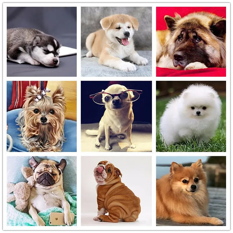 

3d Diy Diamond Painting Full Square Mosaic Dog Pictures By Numbers Embroidery Diamond Painting New Year Home Gifts Decoration