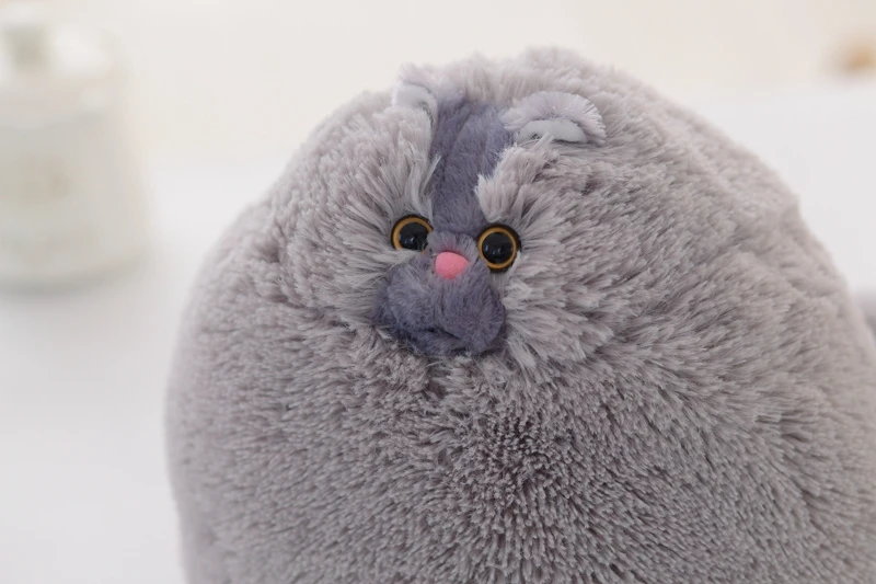cat toy for gifts