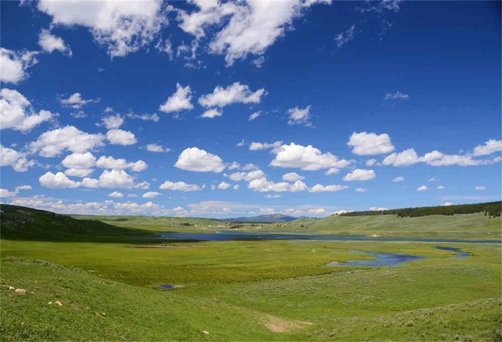 

Laeacco Grassland Lake Cloudy Blue Sky Scenic Photography Backgrounds Customized Photographic Backdrops For Photo Studio