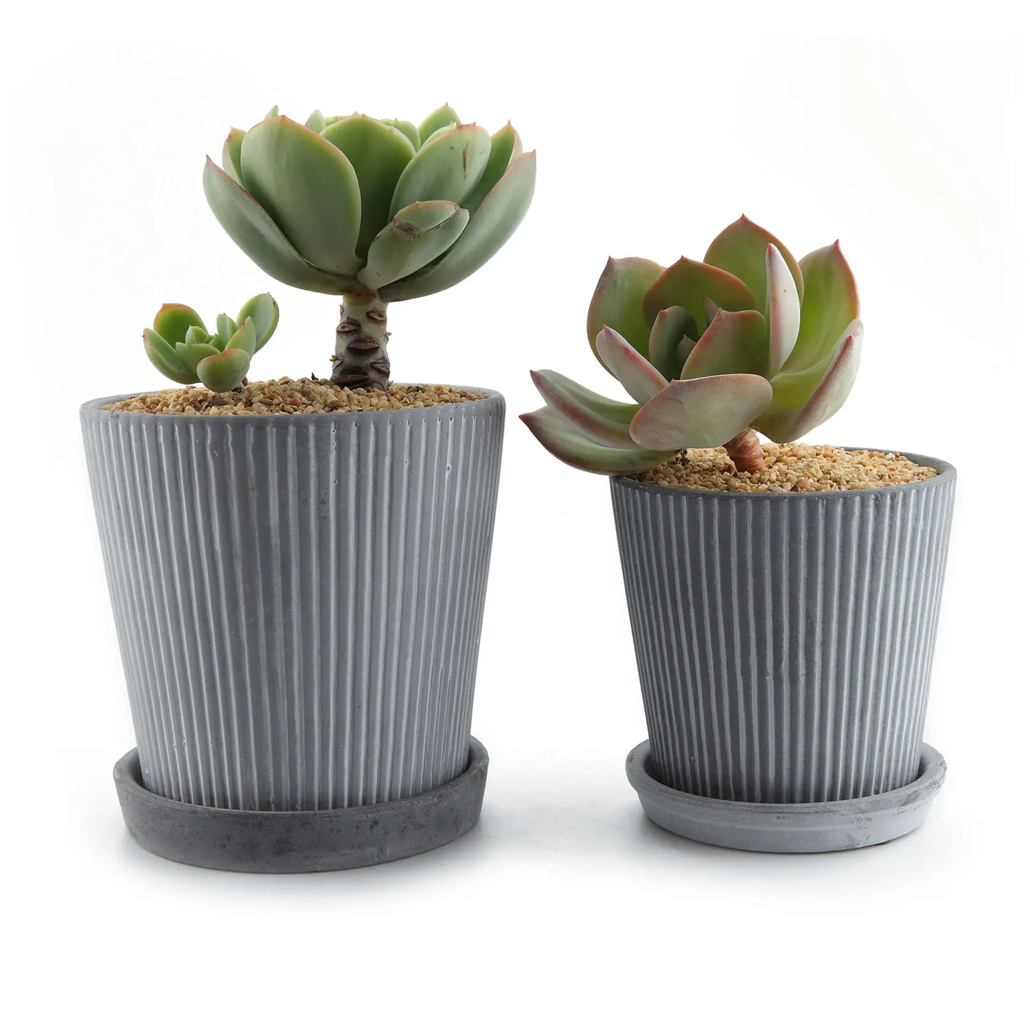 

T4U Ceramic Modern Line Design Succulent Cactus Plant Pot Flower Pot Container with Round Tray Collection Pack of 2