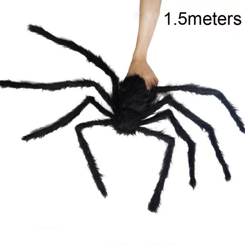 1.5
