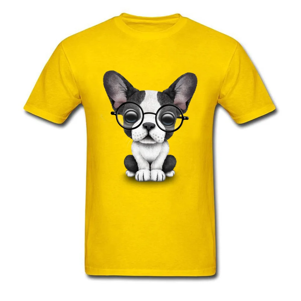 Cute French Bulldog Puppy with Glasses_yellow