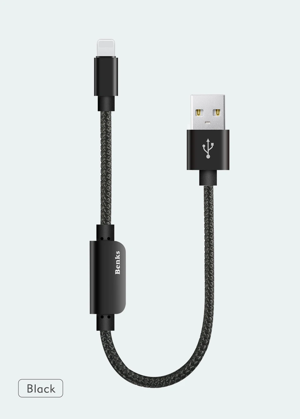 Lightning Audio Adapter Cable (11)