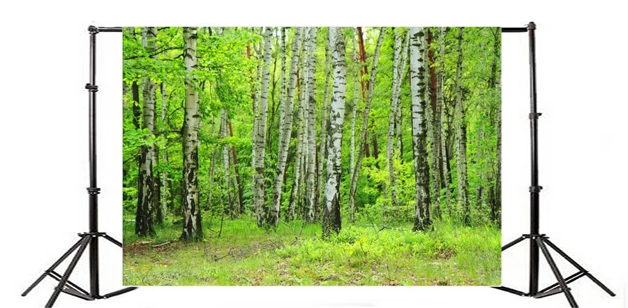 Laeacco Весна зеленый лес деревья живописные девушки фотографии фонов фото фон пользовательские фоны реквизит для фотостудии