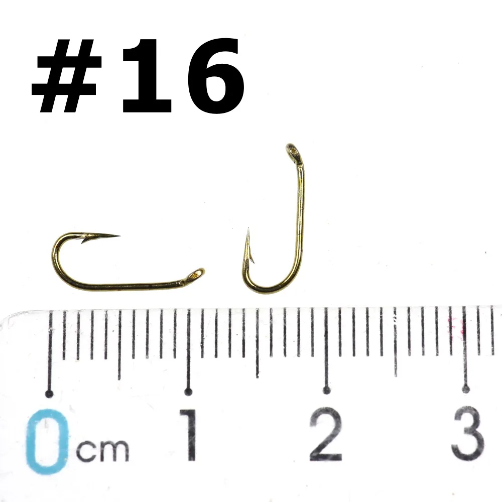 16