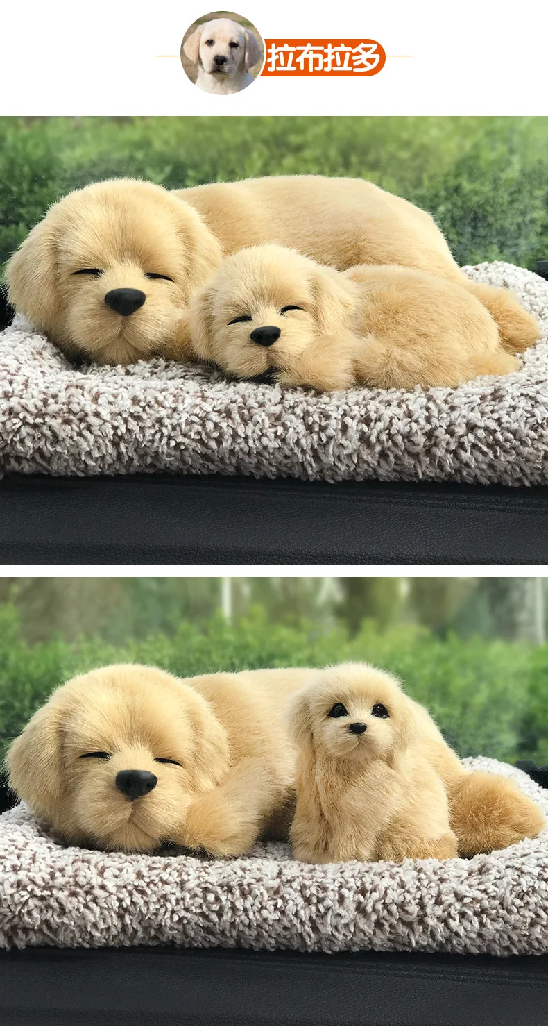 8776695525_790556883