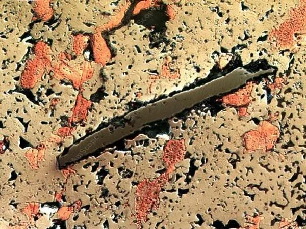 Инвертированный Тринокулярный металлургический микроскоп амскоп поставки 50X 1250X