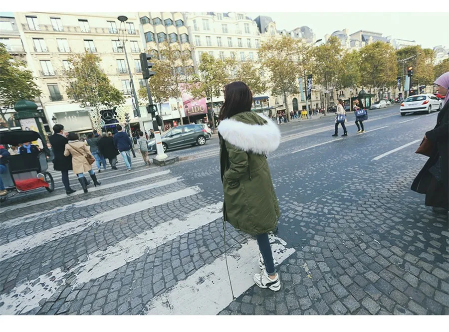 3492822143_231277194