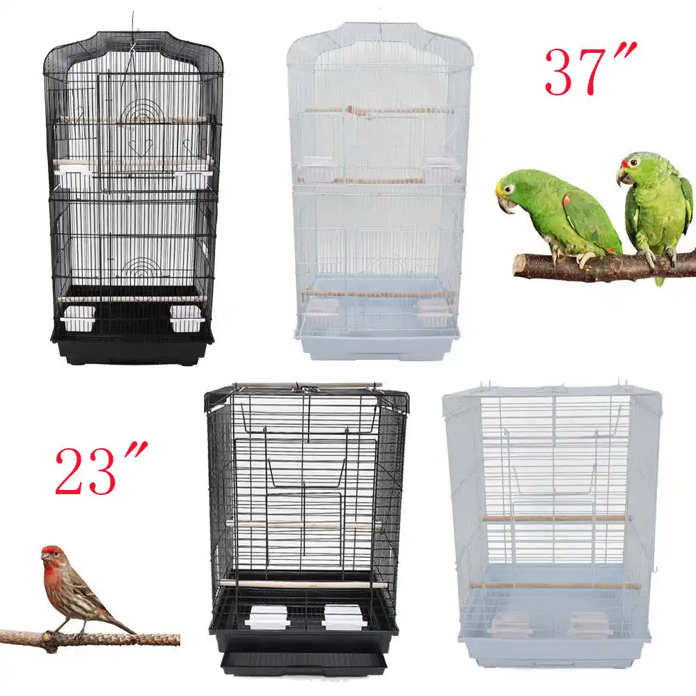 canary bird supplies