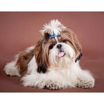 

3D Diamond Embroidery Shih Tzu Animal pet Dog Diamond Art watercolor Cross Stitch Diamond Painting Full Square round drill Hobby
