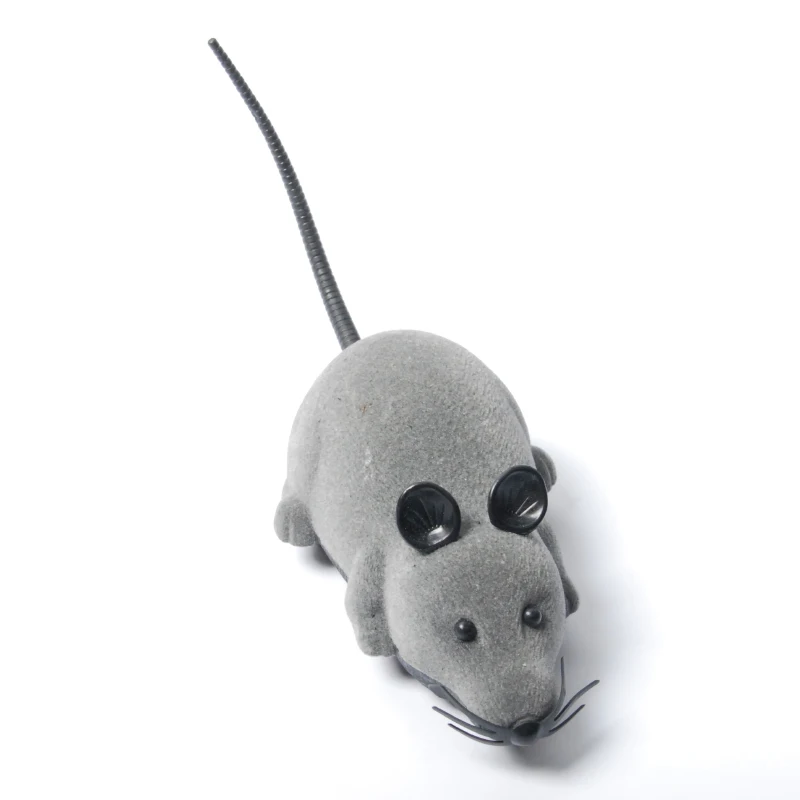 mouse (6)