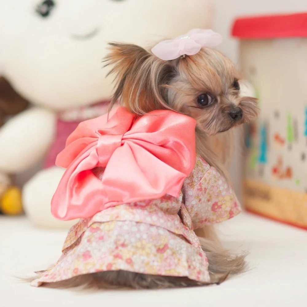 Pet Dogs Kimono Dress Pet Spring and Summer Clothes Pet Kimono Pet