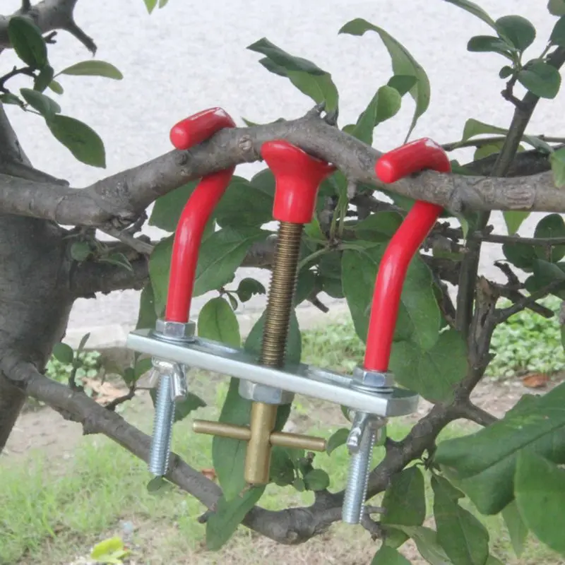 Pruner Bender Bonsai DIY Modeling Tool Twig Trunk Adjuster Small Bender Curved Device
