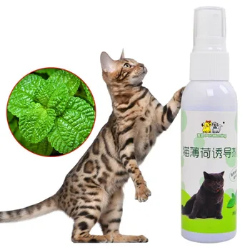 

Cat Catnip Pet Training Toy Natural Healthy Cat Mint Funny Scratch Toy Spray
