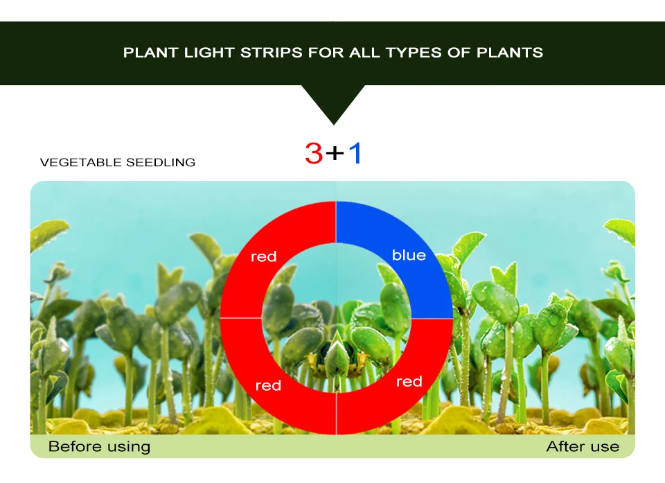 LED Grow Light Strip Tape Set DC12V Phytolamp Touch Switch Fitolamp (12)