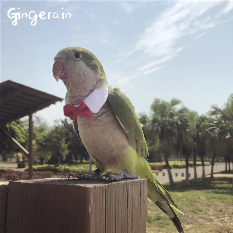 Gingerain одежда с птицами попугай маленький галстук оригинальный ручной работы на