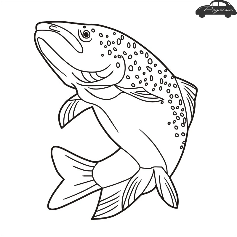 

Fish Decal Fishing Sticker Angling Hooks Tackle Shop Posters Vinyl Wall Decals Hunter Decor Mural Sticker