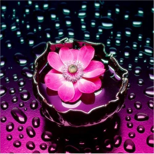 5D DIY Алмазная картина цветок Роза вышивка крестиком алмаз 21 Настенная Наклейка Ваза картина подходит для украшения дома - Цвет: Зеленый