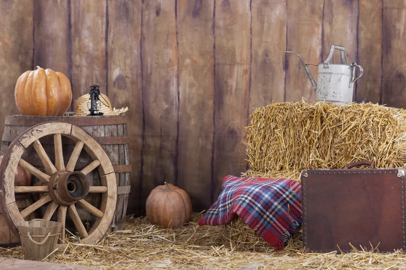 Newest Innovative farm tools Backdrops Photography Studio Photo