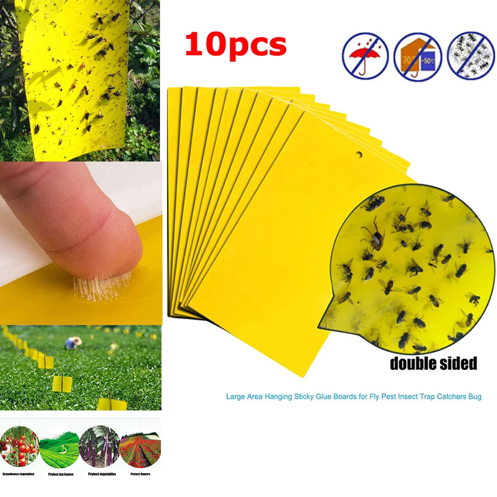 Flies Traps Strong Bugs Sticky Board Catching Aphid Insects Pest Killer 10 Pcs