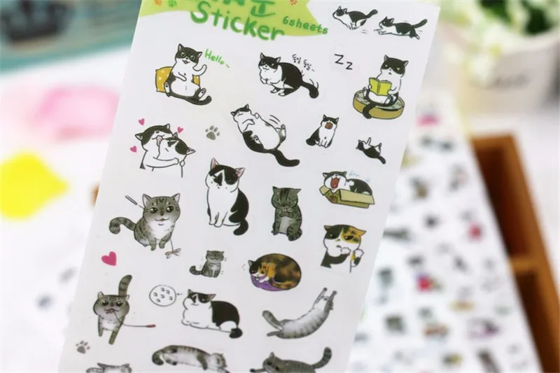 2922881912_1536718367