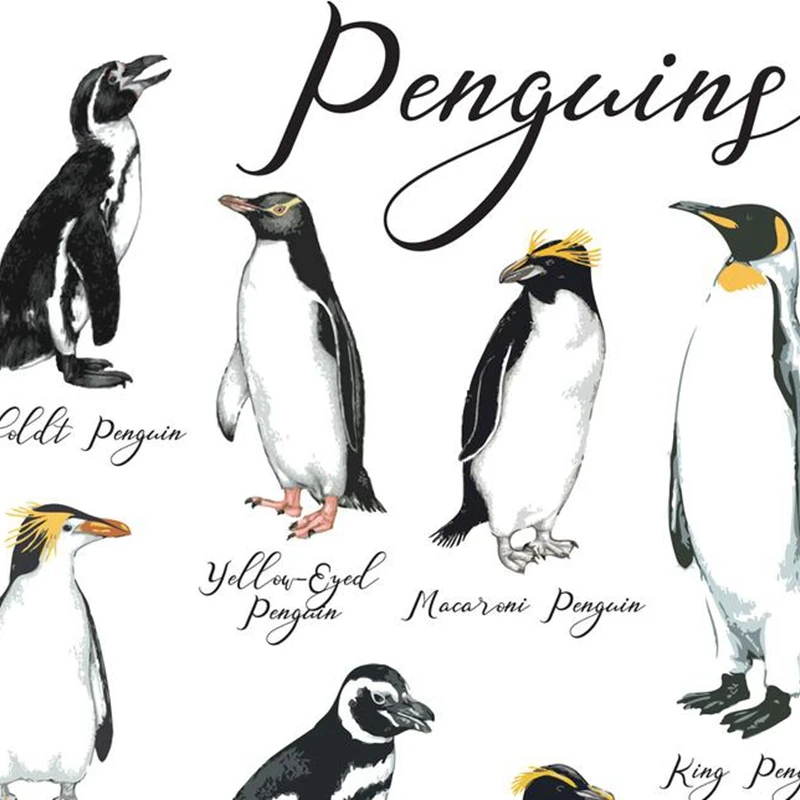 3528 Animal Poster CUTE ARCTIC PENGUINS Photo Poster Print Art * All Sizes 