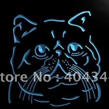 LB986-экзотические Короткошерстная Кошка породы светозащитная ПЭТ-знак