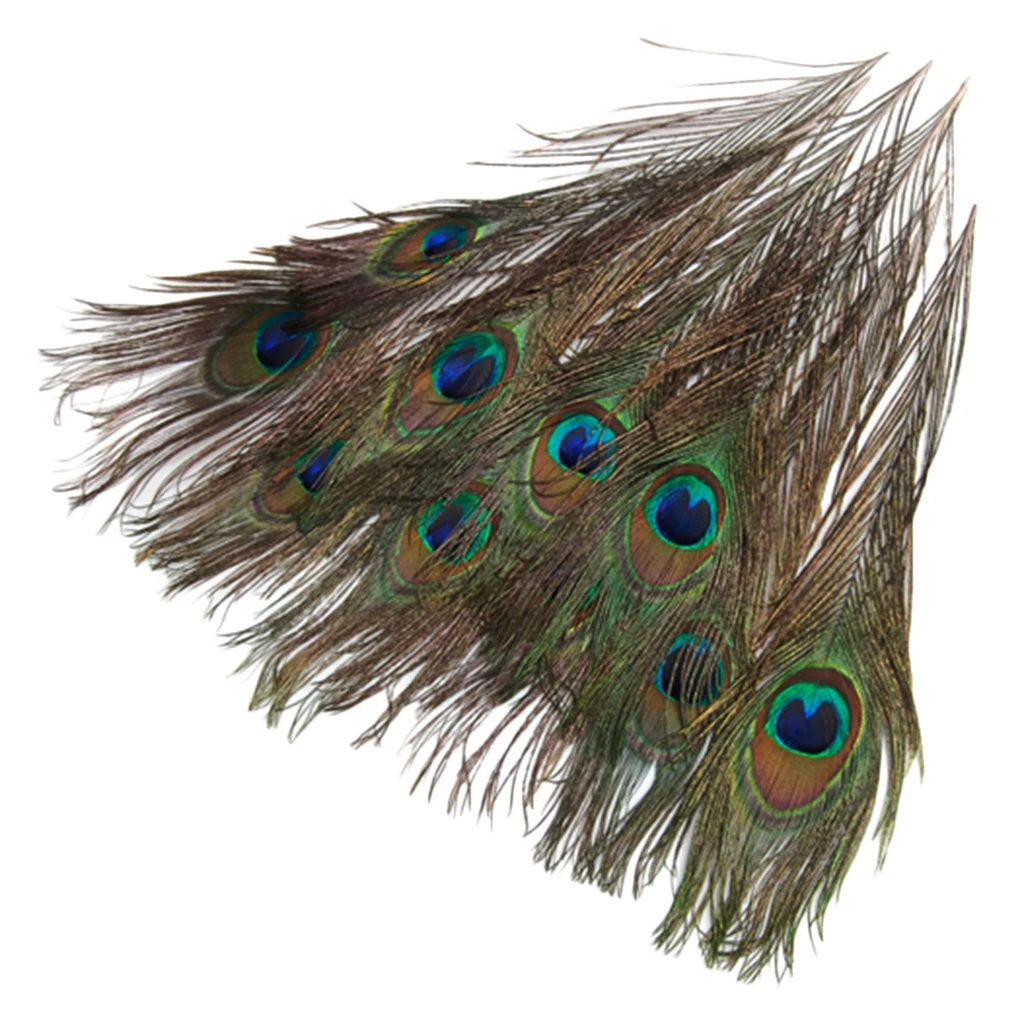 10Pcs Peacock Feathers Peacock Eye Tail Decor for DIY Crafts Halloween Costume Mask Necklace Accessories Wedding Party Favor