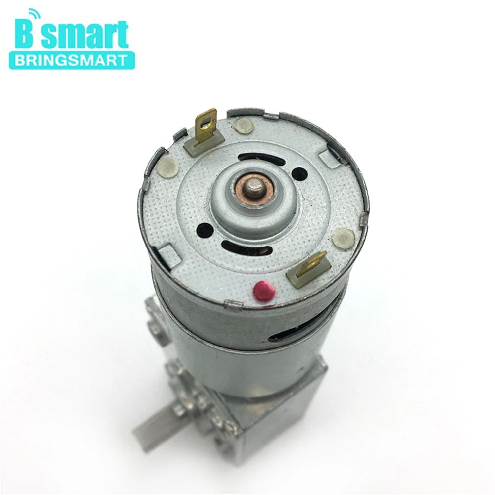 Bringsmart A58SW-555 червь Шестерни мотор, работающего на постоянном токе 12 В 24 v высокий крутящий момент микро двигатель Шестерни коробка мини электродвигатель с встроенной функцией спуска затвора набор «сделай сам» для робота