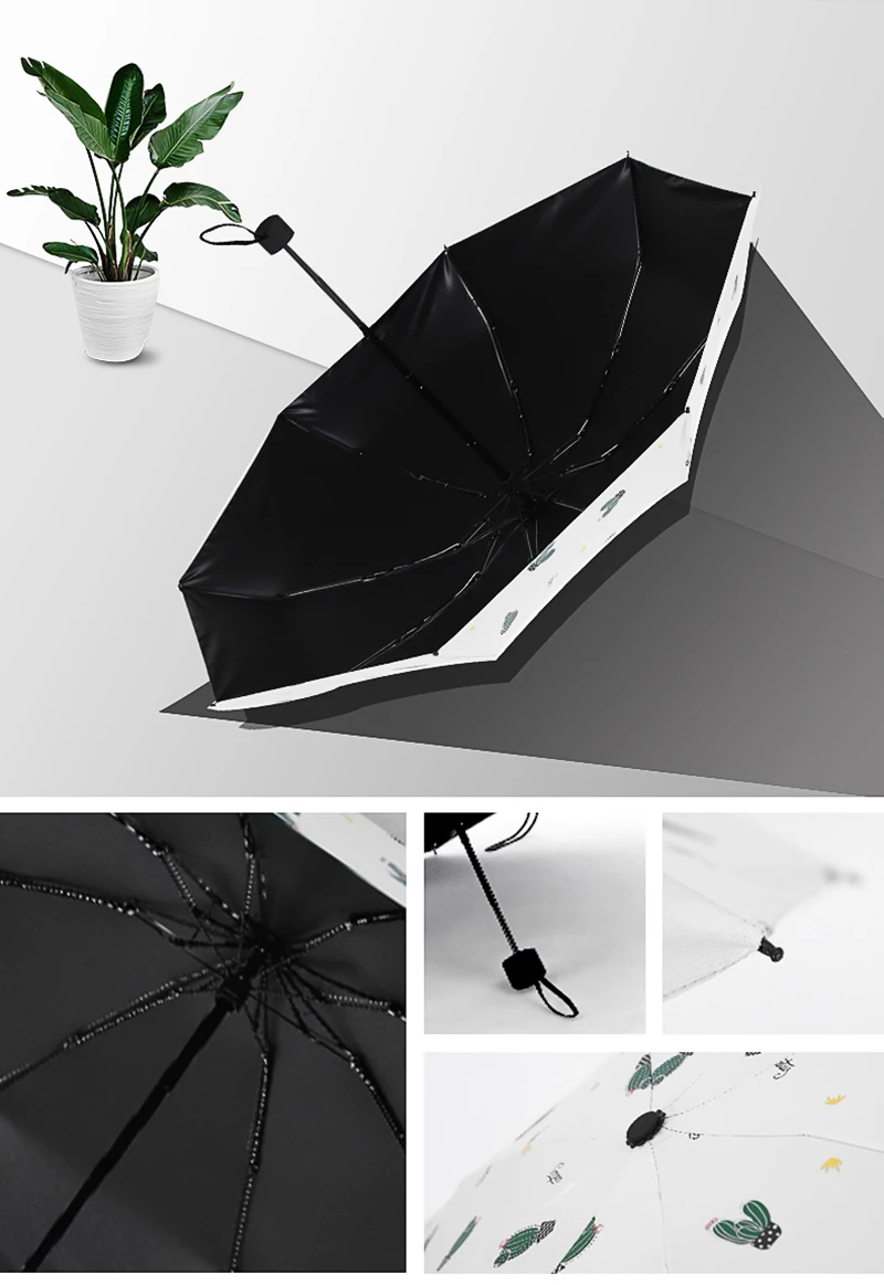 Transparent Umbrella (12)