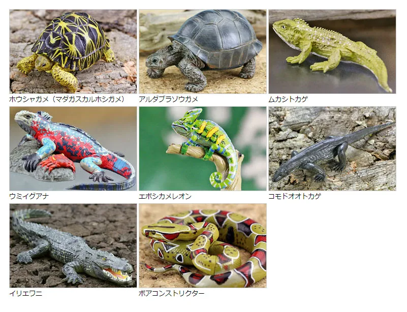 

Original Japan genuine wild life Reptile animal tortoises Tuatara Marine iguanas chameleon Komodo Dragon collectible figures