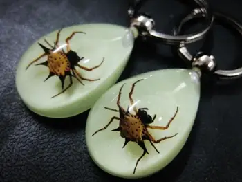 

FREE SHIPPING 15 Keychain Real Prickly Spider Insect Taxidermy Glow in the dark Drop Jewelry