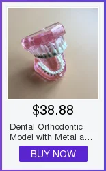 Modelo de Gesso Molde de Base de Silício Dental Bloco Completo-roxo Suprimentos Edentulous Jaw 2 Pçs - Set 31 Cheap Modelo de Ensino Dental
