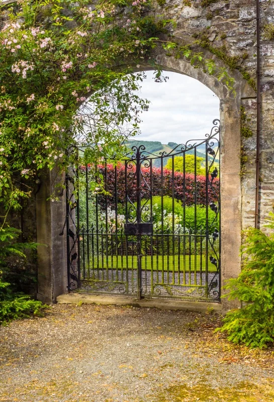 Garden Gate With Flowers