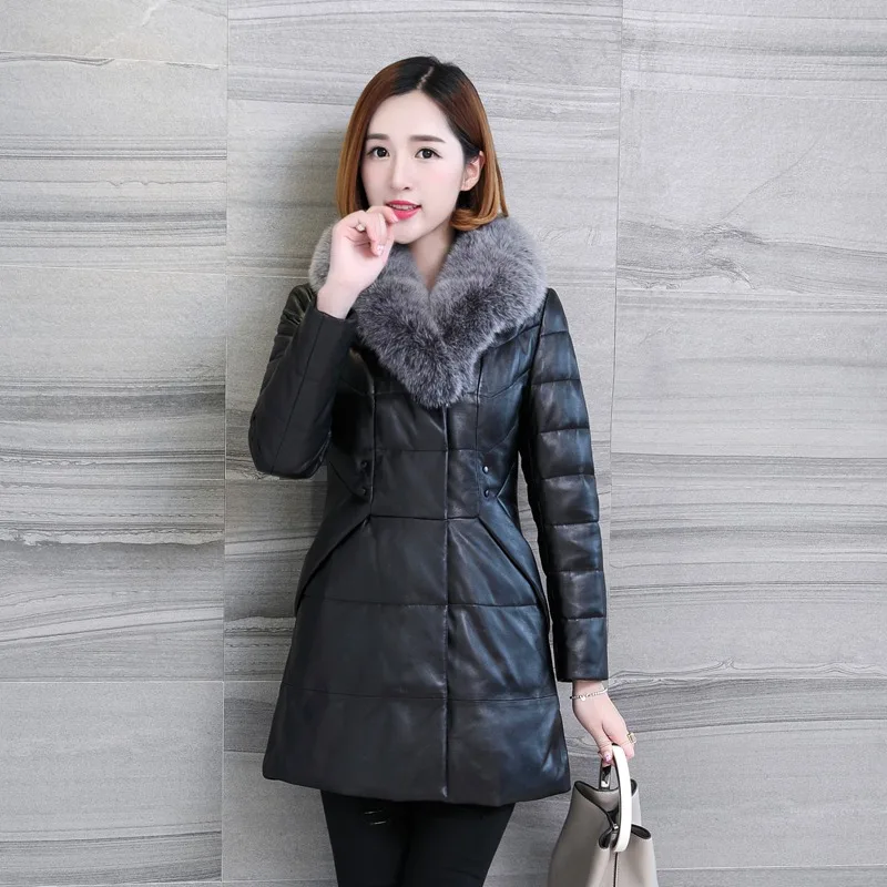 LF4260 (5)