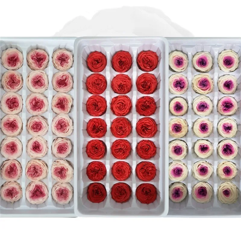 

21 pcs/Box Preserved Flowers Flower Immortal Rose Red 2-3 cm Diameter Mothers Day Gift Eternal Life Flower Material Gift Box