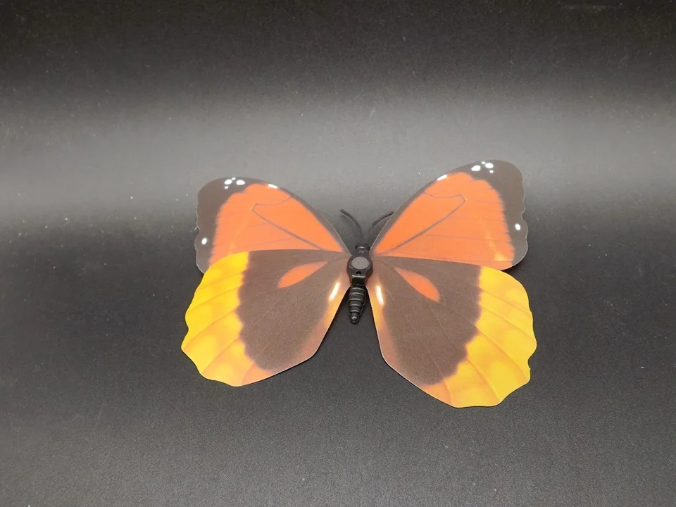 I227-Butterfly (8)