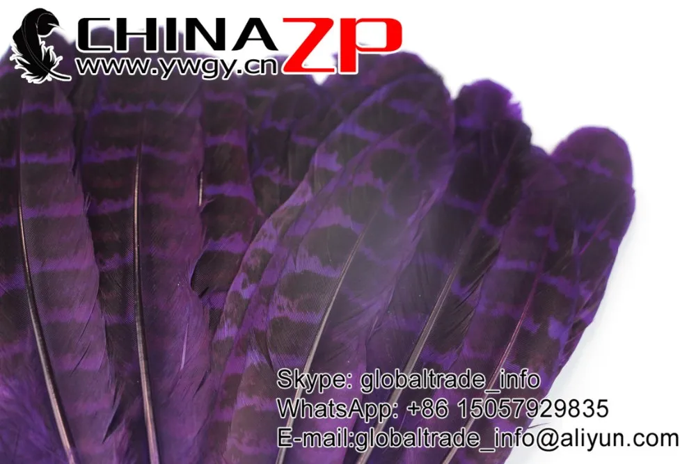 Purple Ringneck Hen Pheasant Round Quill Wing Feathers (4)