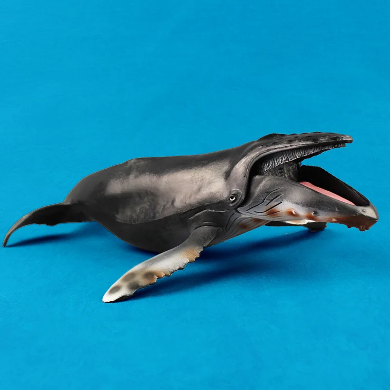 

Marine organism Humpback Whale Model sea Life animals monster Whale Toys Collection Gift Bedroom Decor For Children 27CM