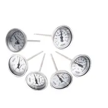 Stainless Steel Bi-metallic Thermometer 1/4PT Thread L=100mm 0~50~300C WSS-303