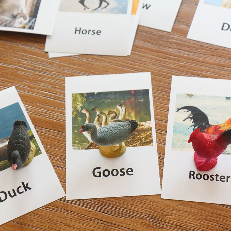 Montessori Infant Toys Poultry Animals Cards Learning Educational Toys for Toddlers Flash Card Juguetes Brinquedos YJ1244H