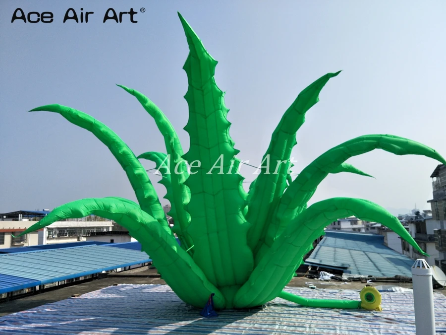 new design awesome 8 m diameters standing giant plants Inflatable grass aloe vera for event,party decoration new design awesome 8 m diameters standing giant plants Inflatable grass aloe vera for event,party decoration